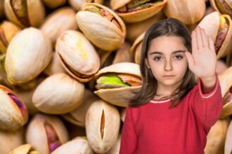 Canada bans pistachio imports from Iran