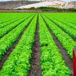 Canadian farmland is changing the game for investors