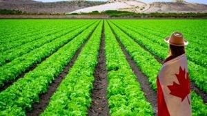 Canadian farmland is changing the game for investors