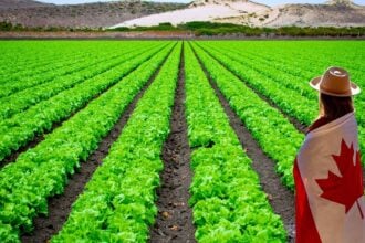 Canadian farmland is changing the game for investors