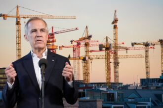 National projects of carney