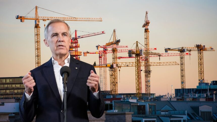 National projects of carney