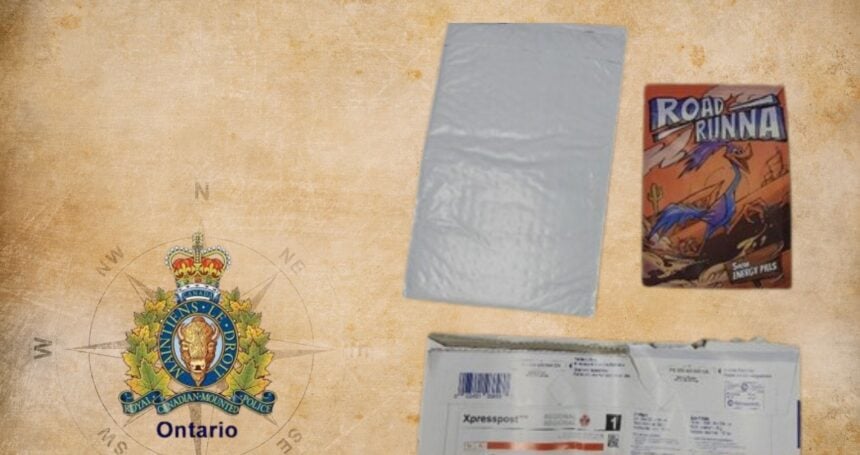 Major Canadian dark-web drug network shut down by Ontario RCMP