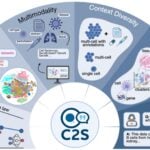 Google's C25-Scale AI Generates Validated Cancer Hypothesis