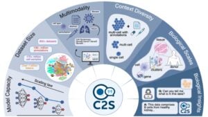 Google's C25-Scale AI Generates Validated Cancer Hypothesis