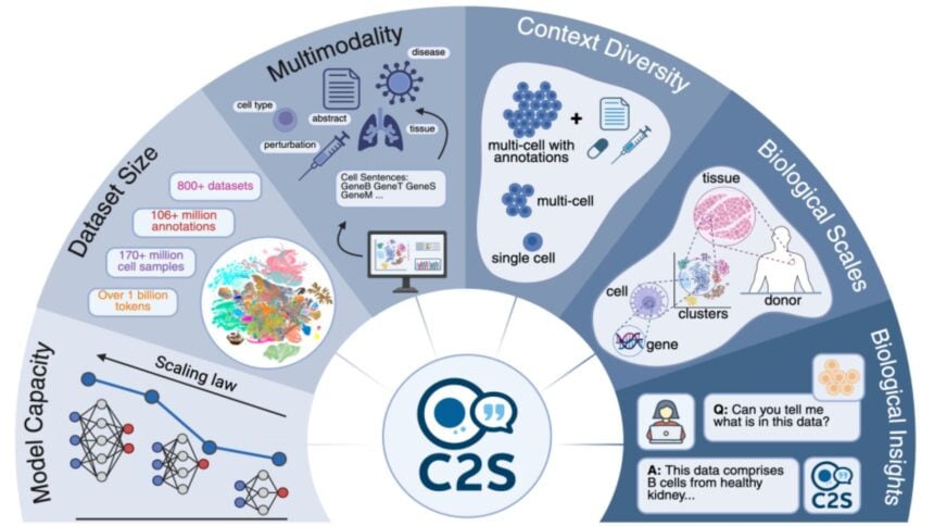 Google's C25-Scale AI Generates Validated Cancer Hypothesis