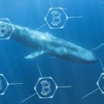 Bitcoin whales boost shorts into a $19 billion liquidation wave and talk of a crypto crash 2.0