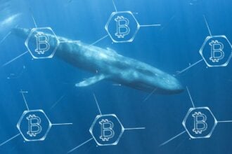Bitcoin whales boost shorts into a $19 billion liquidation wave and talk of a crypto crash 2.0