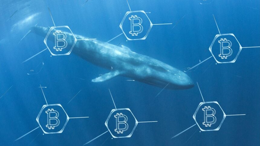 Bitcoin whales boost shorts into a $19 billion liquidation wave and talk of a crypto crash 2.0