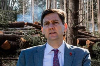 B.C. premier urges Ottawa to step up as new U.S. lumber tariffs threaten forestry jobs